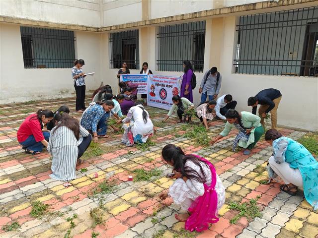 Seva Pakhvada 2025- Swachta Sapath avm shram dan 