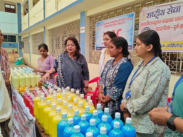 Govt. Chandulal Chandrakar Arts & Science College, Patan - workshop on Skill Development and Self Employment by MSW Students