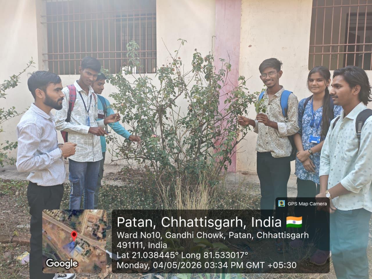 Botany SEC class Cutting 