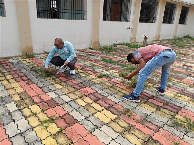 Seva Pakhvada 2025- Swachta Sapath avm shram dan 
