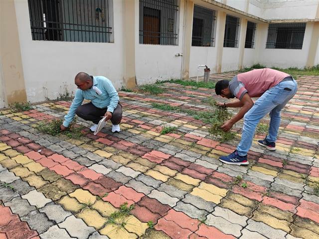 Seva Pakhvada 2025- Swachta Sapath avm shram dan 